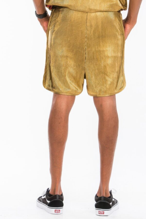 Metallic Flick Shorts – Side Metallic Stripe