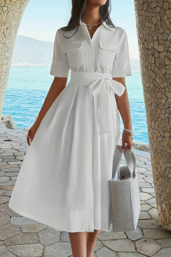 Turn-Down Collar A-Line Dress with Side Pockets
