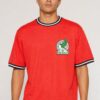 Mexico World Cup Micromesh Tee with Striped Neck