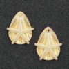 Starfish & Shell Stud Earrings - Layered Coastal Design