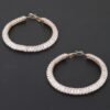 Cubic Zirconia Hoop Earrings - Elongated Crystal Line