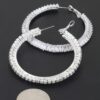 Cubic Zirconia Hoop Earrings - Elongated Crystal Line