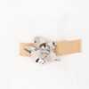 Faux Straw Elastic Belt with Oversized Flower Buckle