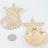 Starfish & Shell Drop Earrings - Polished Metallic