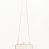 Clear Mini Purse Clutch with Chain & Faux Pearls