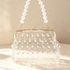 Clear Mini Purse Clutch with Chain & Faux Pearls