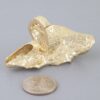 Polished Ripple Sculptural Statement Ring