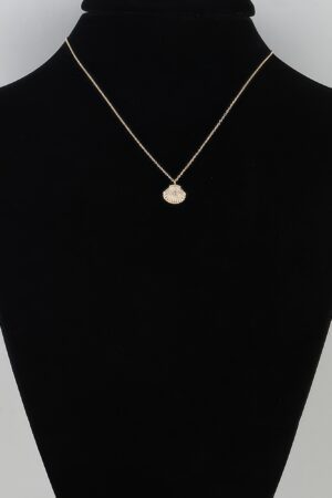 Seashell Pendant Necklace - Polished Ridged Shell