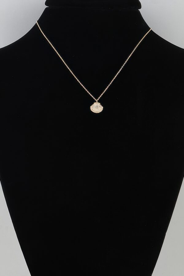 Seashell Pendant Necklace - Polished Ridged Shell