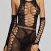 Sheer Lace Cutout Mini Dress with Matching Gloves