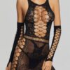 Sheer Lace Cutout Mini Dress with Matching Gloves