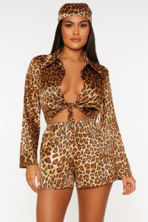 Leopard Print Two-Piece Set - Front-Tie Long Sleeve