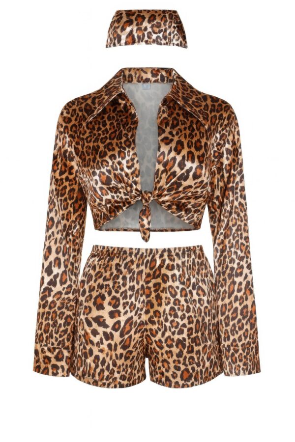 Leopard Print Two-Piece Set - Front-Tie Long Sleeve
