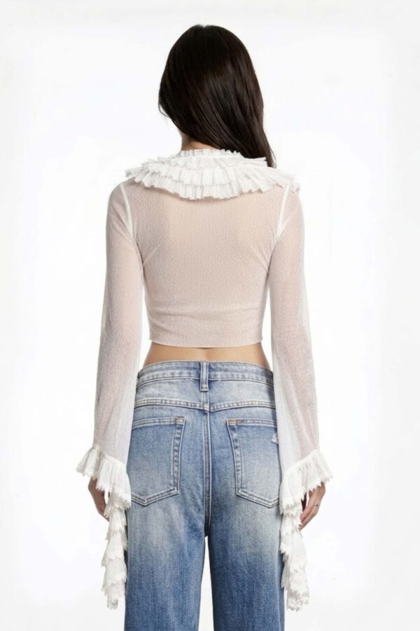 Sweet Rapture Cropped Ruffle Mesh Blouse