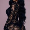 Into You Sheer Floral Lace Bodystocking - Deep V Midi