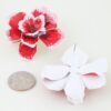 Twin Rose Earrings - Layered Red-Pink Gloss