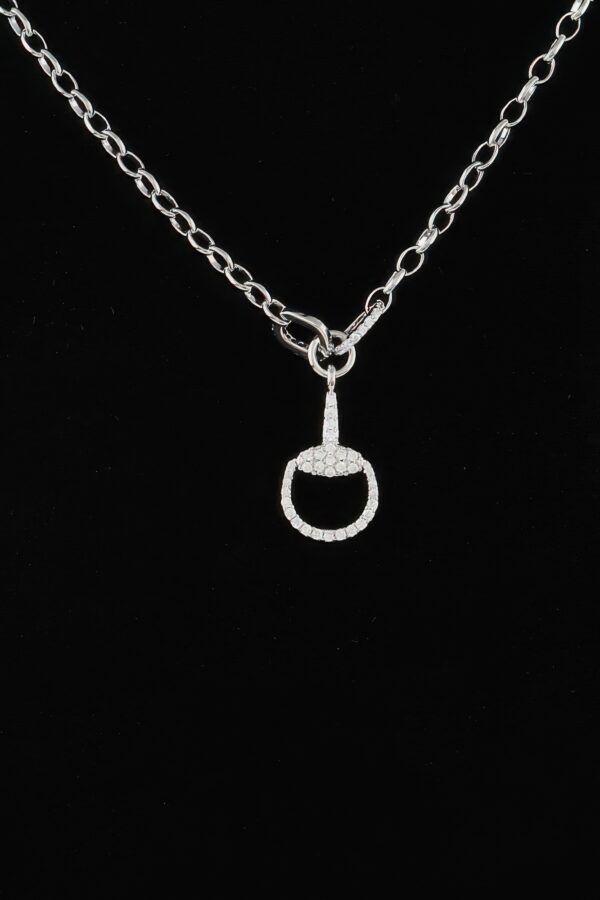 Equestrian Drop Chain Necklace with Sparkling Accents
