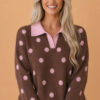 Polka Dot Colorblock V-Neck Collared Sweater