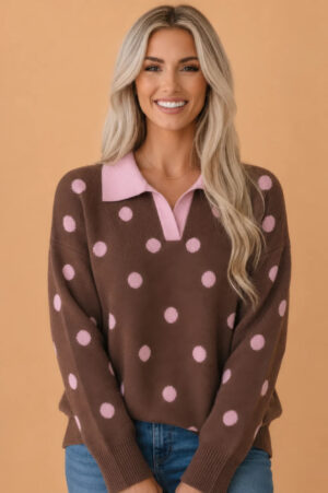 Polka Dot Colorblock V-Neck Collared Sweater