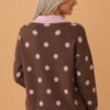 Polka Dot Colorblock V-Neck Collared Sweater