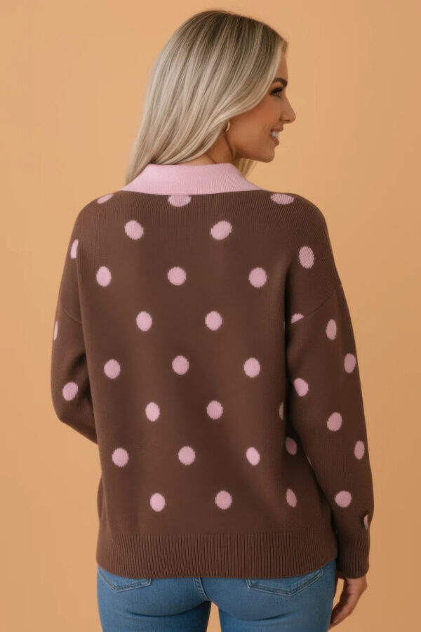 Polka Dot Colorblock V-Neck Collared Sweater